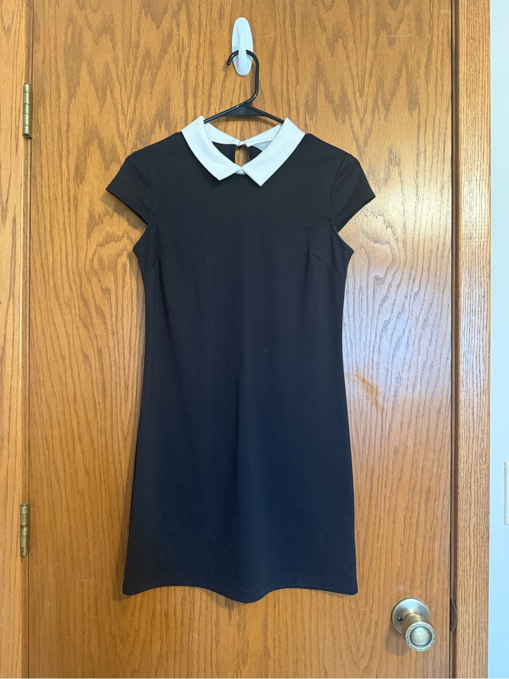Dorothy Perkins Black Mini Dress with White Peter Pan Collar